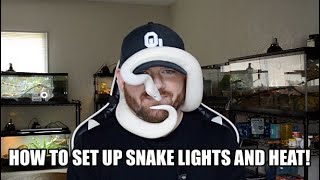 Celebrity Pet Snake Lighting and Heating Guide! (2025) Wealth