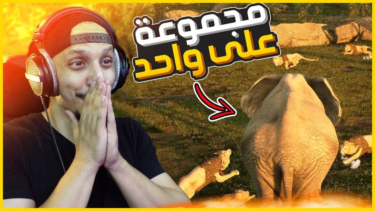 انيمليا سيرفايفل #8 | معارك شرسة بين الفيلة والأسود Animalia Survival
