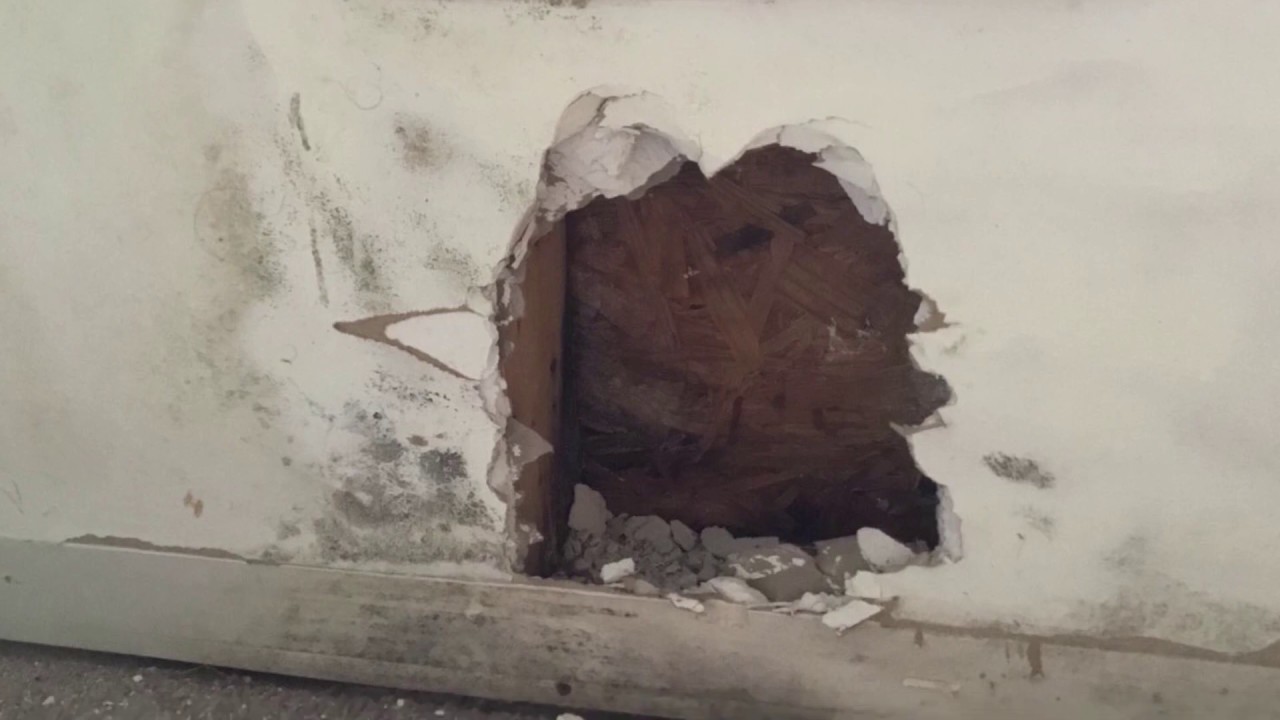 Sprinkler Leak and Mold at an Apartment Complex YouTube