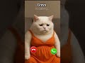 Greys Is Calling Ringtone Music Memes Cat Catshorts Greys Is Calling Ringtone Music Memes Cat Catshorts