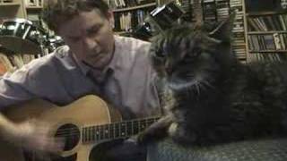 Monty's Aimee Mann Freeway Contest
