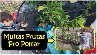 Descarregando e Mostrando As Mudas de Frutas Para O Pomar Da Nossa Quintinha Em Portugal !