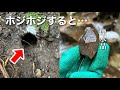 崖の上で謎の穴を発見!ほじったら水晶が出てきた!【鉱石採集】