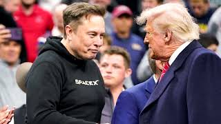 Tesla's market share in Europe drops despite rising EV demand | REUTERS