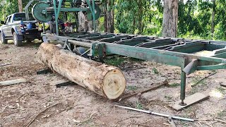 serraria movel serrando tora de eucalipto com serra estiletada