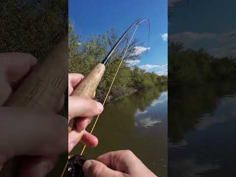 Царь голавлей  #рыбалка #ловлярыбы #fishing #голавль #chub #нахлыст #flyfishing