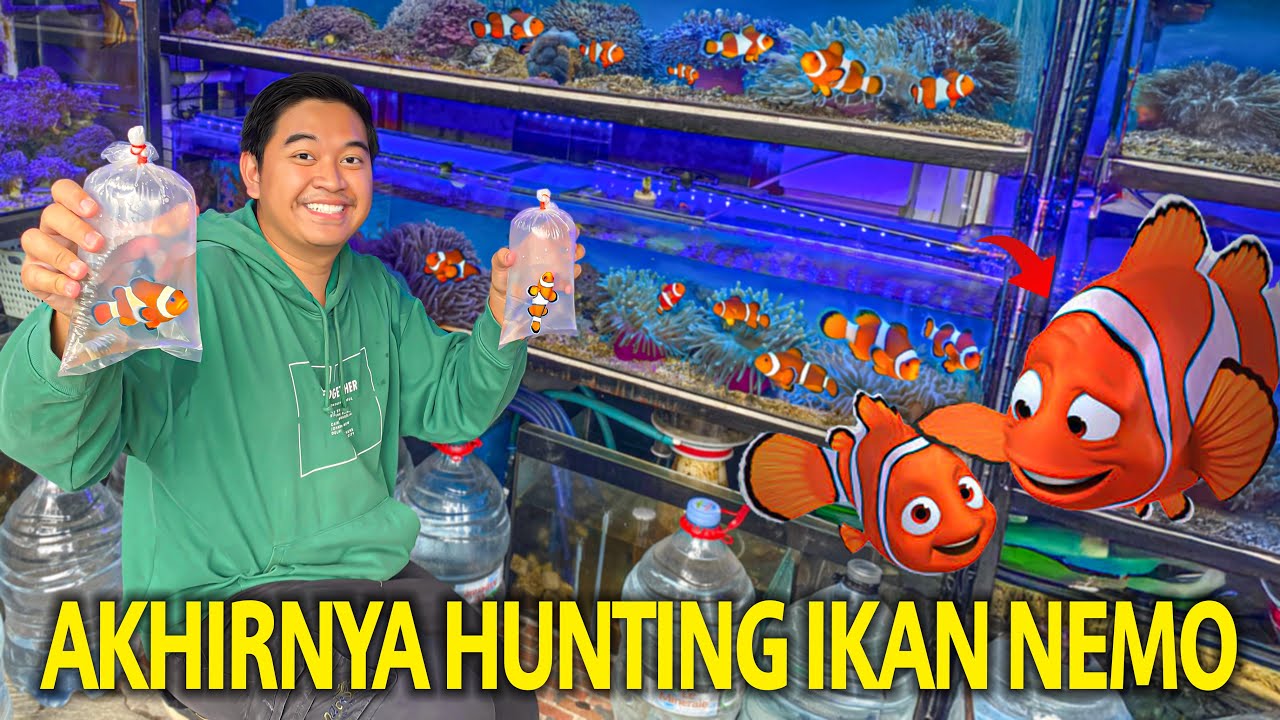 AKHIRNYA HUNTING IKAN NEMO! PERTAMAKALI MASUKIN IKAN KE AQUARIUM LAUT TERBARU AKU! BAGUS BANGET!