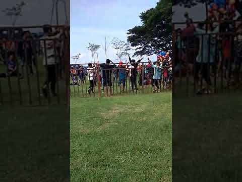 Dangdut ricut...tak kenal perlu dihajar live tambakromo palapa