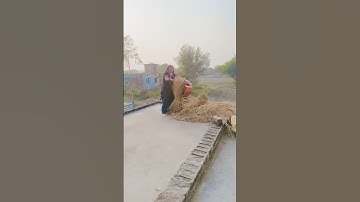 Yu hirone nahi dunga #shortsvideo #viral #video