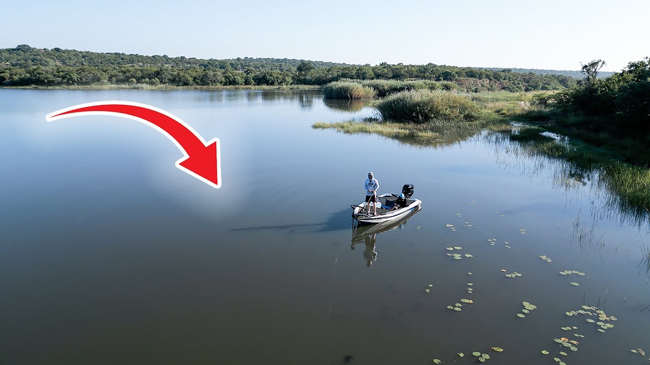 Bass Fishing Rust De Winter | Pre Fishing For Last Opens Competition