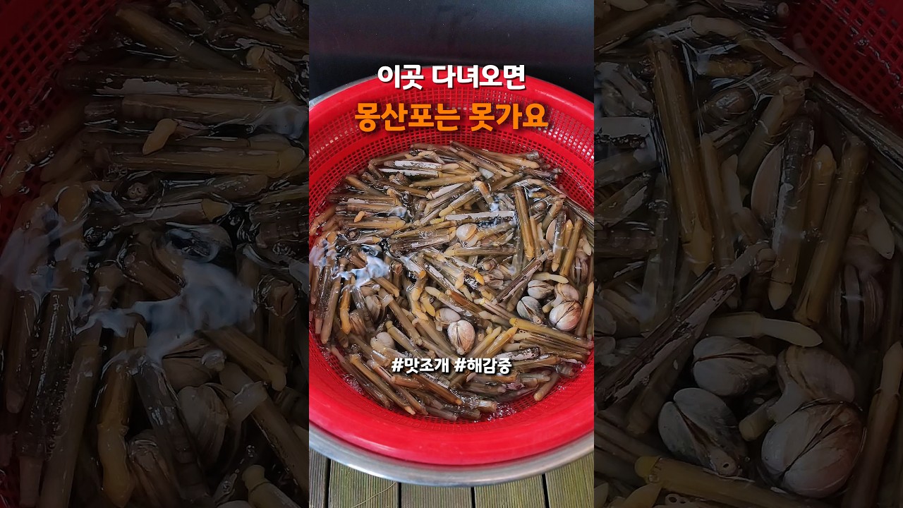 이곳 다녀오면 몽산포는 못가요 #몽산포해수욕장 #갯벌체험 #shorts