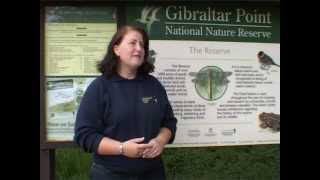 Gibraltar Point Nature Reserve 3 of 11