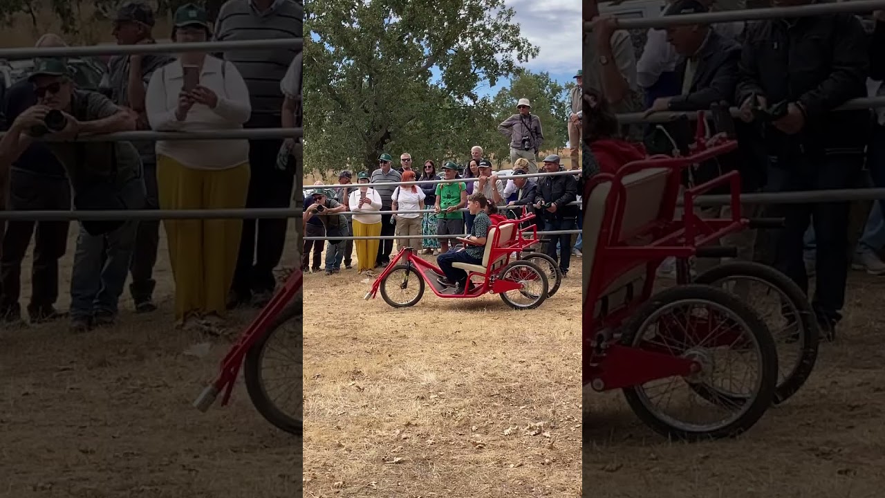 L' Escargoline en terre portugaise