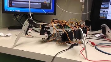 Hexapod Standing Test