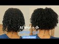 First Wash n Go Since My Cut! | 3B/3C Fine Natural Hair | LovelyBryana