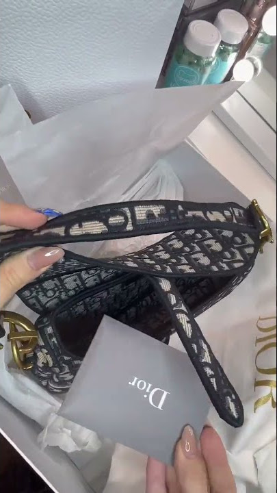 Dior Saddle Bag Review + What I can Fit inside 