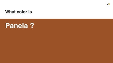 Panela color #9b5227 hex color - Orange color - Cool color 9b5227