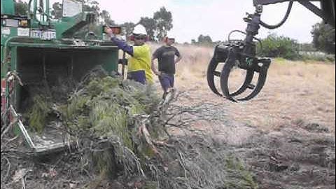 Intermercato Log Skidder Grapple in action on a bobcat