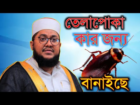 ভিডিও: স্বপ্নে তেলাপোকা দেখলে কী বোঝায়