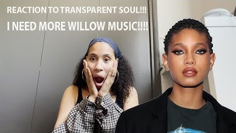 reaction to t r a n s p a r e n t s o u l music video by willow feat travis barker