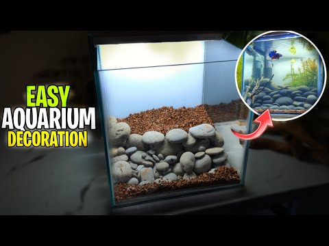 Beautiful Aquarium Setup  Aquarium Decoration ideas 