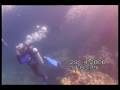 Fatal diving accident caught on tape: Yuri Lipski