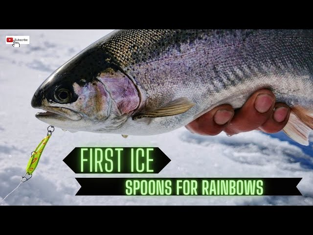 Spoon Fishing For Rainbow Trout • BC Outdoors Magazine