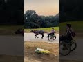 vansh jhota race #viral #shorts #baffalo