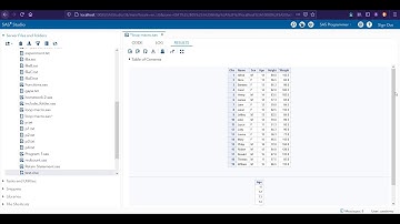 SAS in Create Excel Workbook With Loop : Basic & Advanced SAS