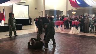 Systema Demo screenshot 2