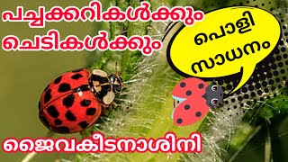 വീട്ടിൽ തയ്യാറാക്കാൻ കഴിയുന്ന ജീവ കീടനാശിനി / Pesticides for plants malayalam / Homemade