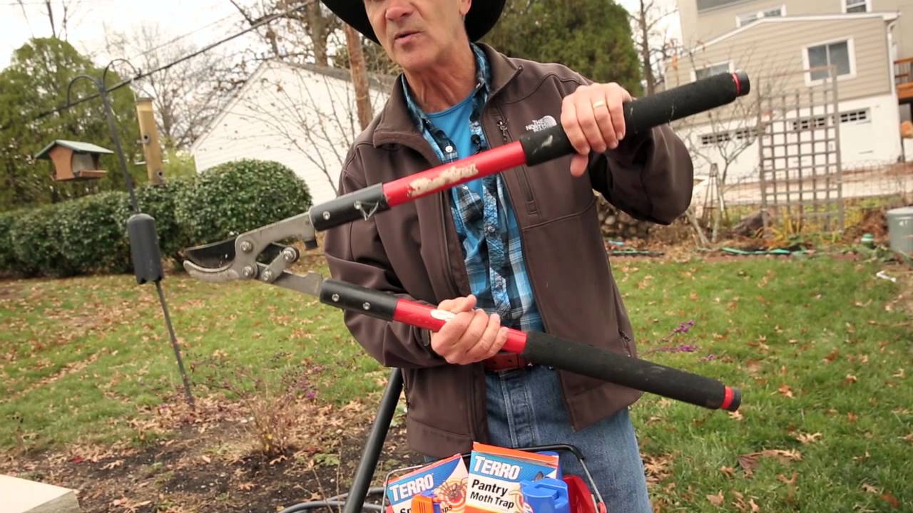 Fall Home Maintenance Tips To Keep Insects Out Of Your Home YouTube