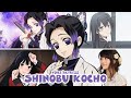 Shinobu Kocho - Same Anime Characters Voice Actor with Shinobu Kimetsu no Yaiba