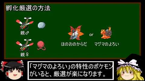 ケロマツ 厳選 Xy