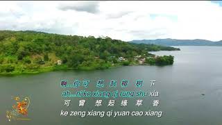 Rong Shu Xia 榕树下 Male Version - Karaoke mandarin with drone view