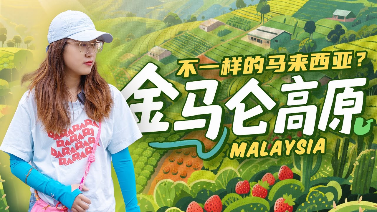 从怡保来到🇲🇾金马仑高原 这里一点也不马来西亚啊 很凉爽 草莓园也多就是太酸啦 茶山超美 仙人掌超大