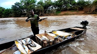 Pescaria + acampamento na mata, peixes e muita chuva