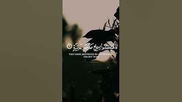 #سورة_الحاقة #قرآن #قران_كريم #المصحف #اكسبلور