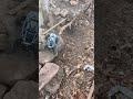 Axial utb18
