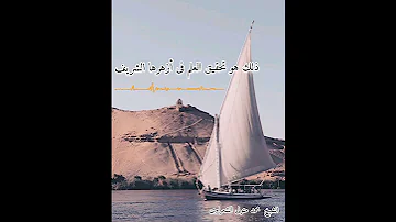 مصر الكنانة الشيخ محمد متولى الشعراوى 