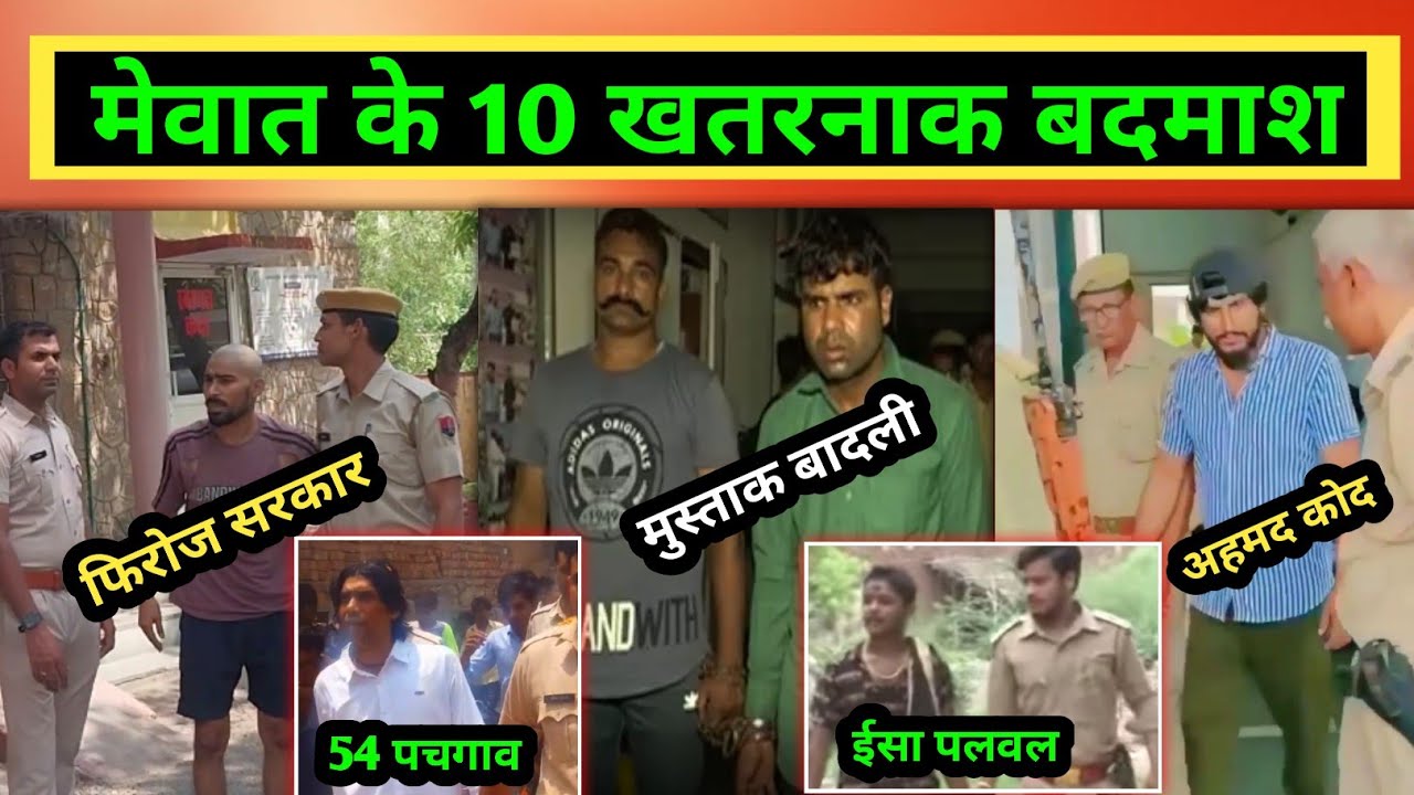 मेवात के 10 सबसे खतरनाक बदमाश | फिरोज मन्नाका | 54 पचगाव |  राहुल अडबर | ईसा पलवल | सल्ली जफरु | कोद