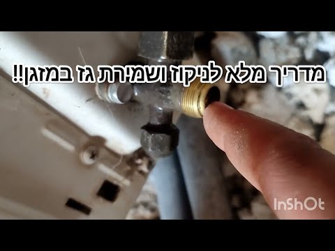 וִידֵאוֹ: כיצד לטפל בברווז לחיות מחמד (עם תמונות)