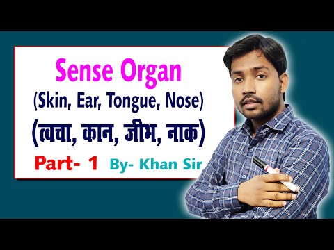 Sense Organ Skin