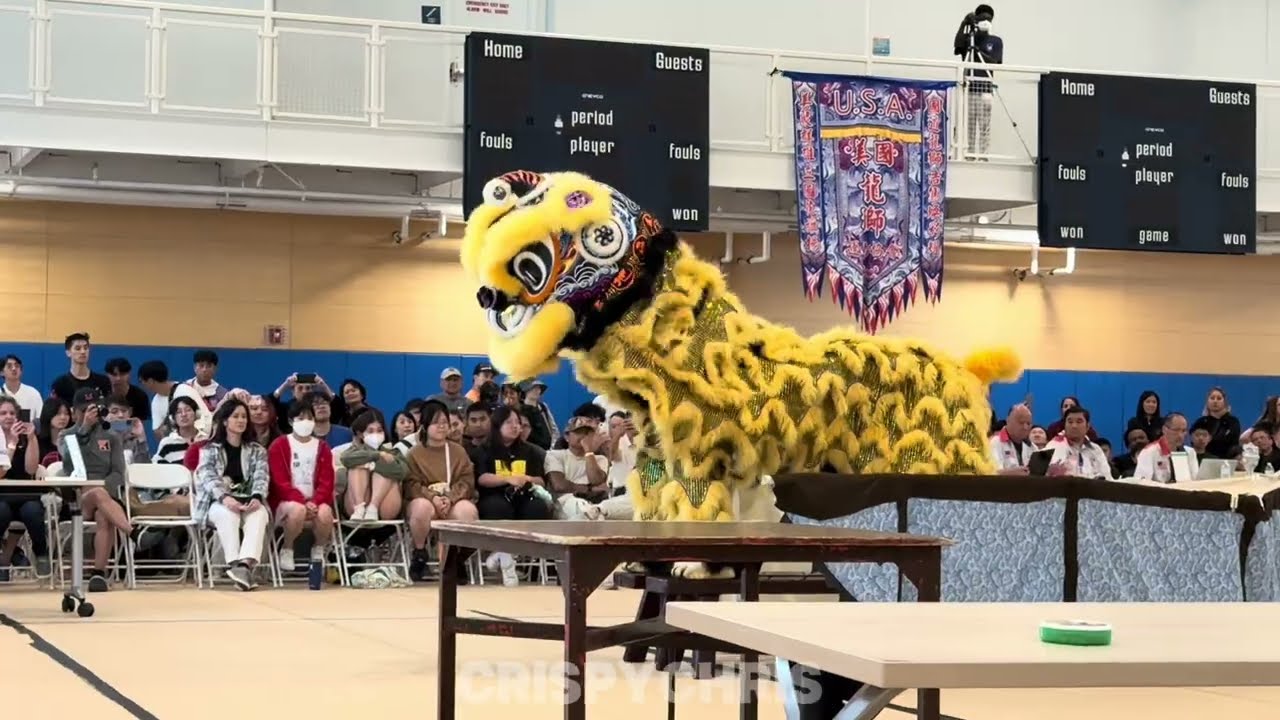 #USADLDSA | Southern Sea - Team Gold | Lion Dance | Boston | September 6, 2025