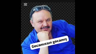 Gocamissin Gürsel Uğurlu