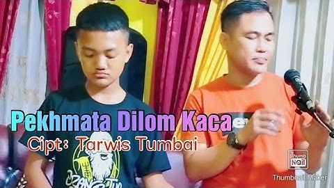 Lagu Lampung Top || PEKHMATA DILOM KACA _ Cipt: Tarwis Tumbai _ Cover: Pengols Dj Endra