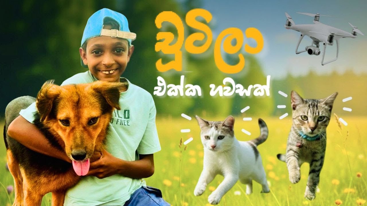 චූටිලා එක්ක හවසක්! 🐾💛🐶🐱