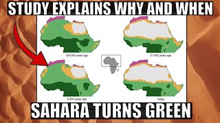 Study Explains Why Sahara Desert Turns Green Every 21000 Years