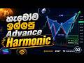 Harmonic Advance Trading  Lesson 02- Technical Analysis - Sinhala