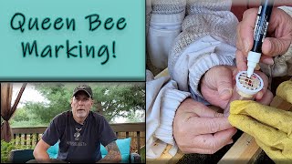 A Bee Update (And Marking the Queen)